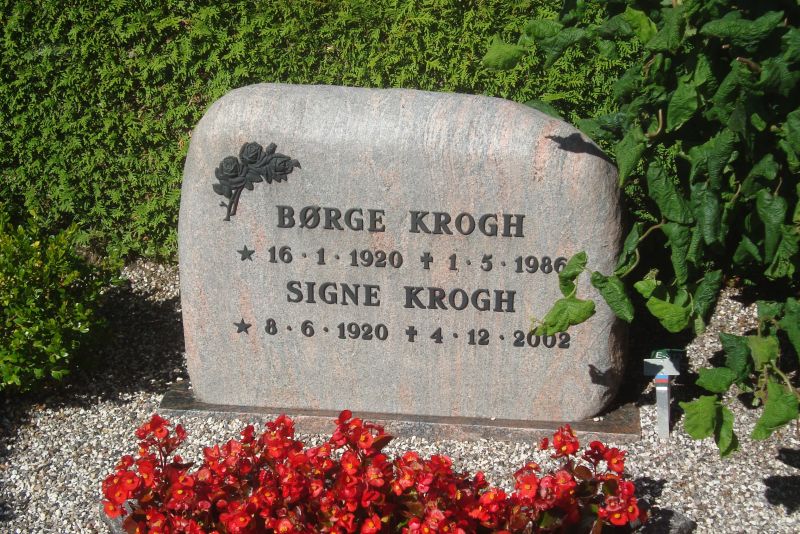 Signe Krogh.JPG